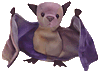 Bat